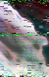 mtvza_rgb_Vegetation.png
